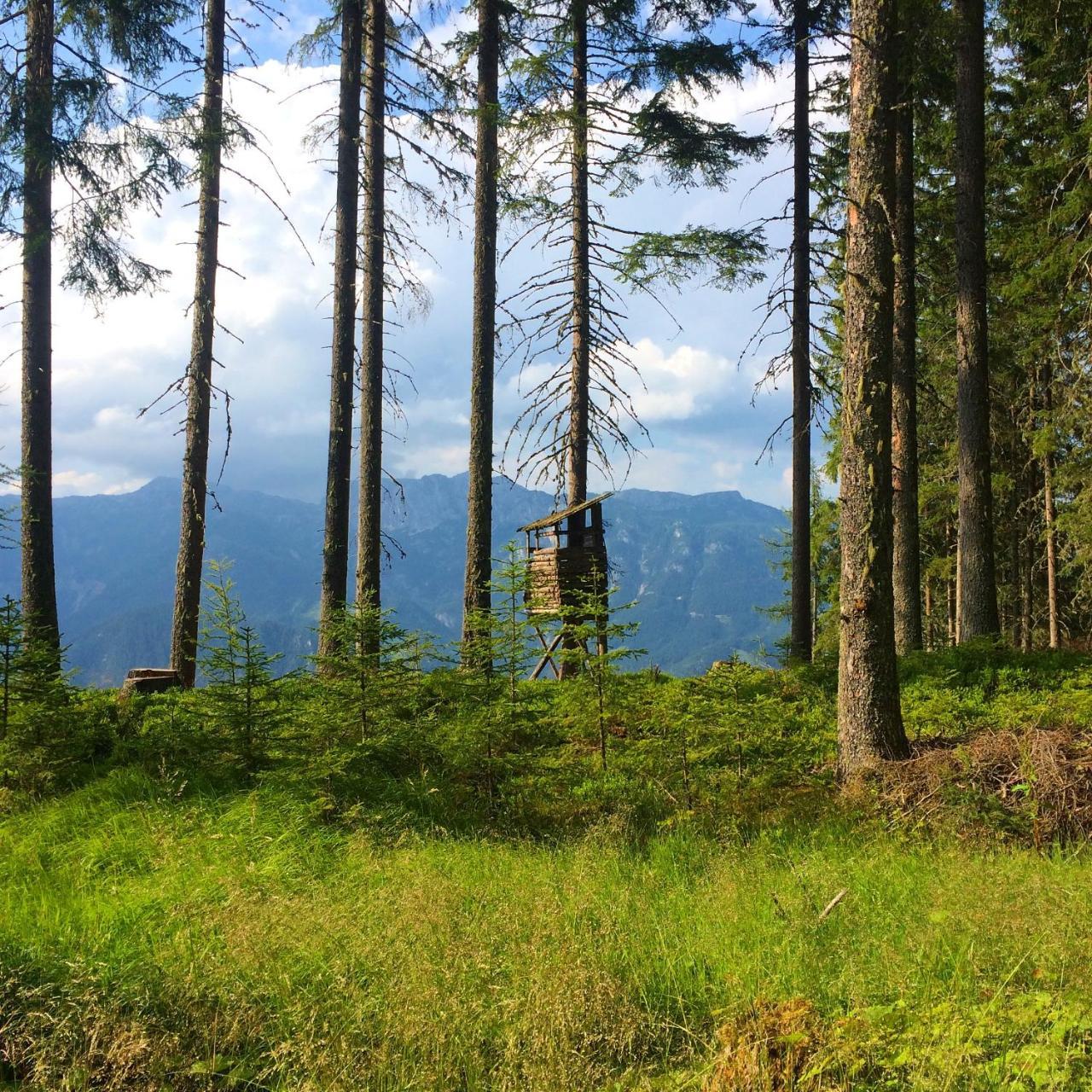Hotel Berggasthof Scharfetter Haus im Ennstal Exteriér fotografie